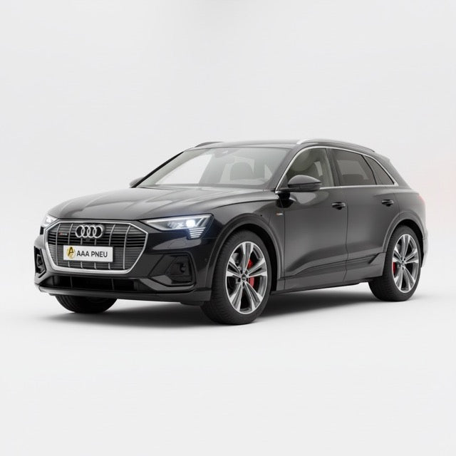 Audi E-Tron GEN GEA (2018-2023)